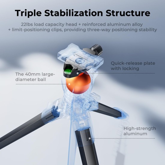 K&F Concept 73" Compact Camera Tripod(A305A3+BH-40)